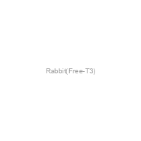 Rabbit(Free-T3)