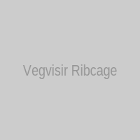 Венгезир на ребрах
