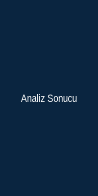 Analiz Sonucu