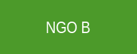 Development NGO B