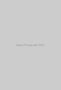 Alpha Prinseveld DSC