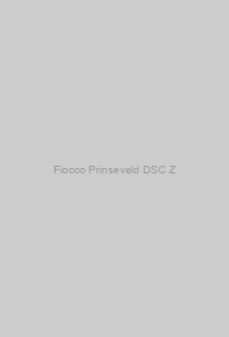Fiocco Prinseveld DSC Z