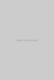 Kerim Van Orchids
