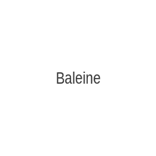 Travail 4