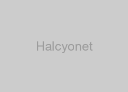 Halcyonet