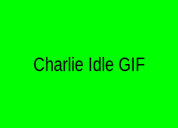 Idle Animation