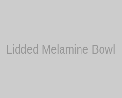 Melamine bowl with matching lid