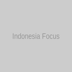 Indonesian market focus