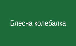 Блесна