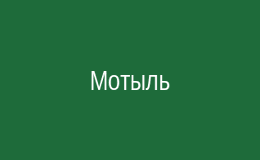Мотыль