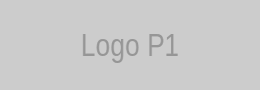 Partner 1