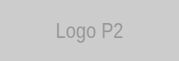 Partner 2