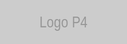 Partner 4