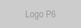 Partner 6