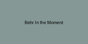 Behr In the Moment