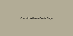 Sherwin Williams Svelte Sage
