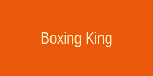 Boxing King