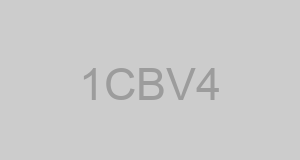 CAGE 1CBV4 - TNE ENTERPRISES INC