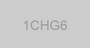 CAGE 1CHG6 - SHIPLEY GROUP, INC., THE