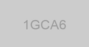 CAGE 1GCA6 - B.A.A.D. CO