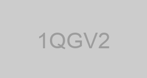 CAGE 1QGV2 - K V INTL ENTERPRISES INC