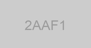 CAGE 2AAF1 - POWERSMART INC