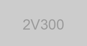 CAGE 2V300 - H E A R T CORP