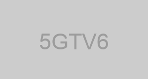 CAGE 5GTV6 - ZAPLIN GROUP LLC THE