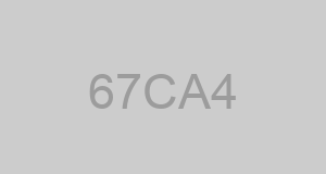 CAGE 67CA4 - DAVID PAGGET ENTERPRISES LLC