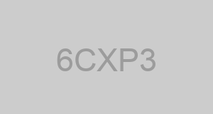 CAGE 6CXP3 - PORTLAND NOW INC