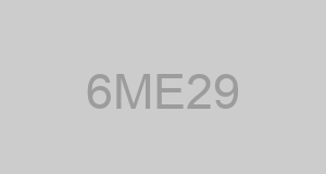 CAGE 6ME29 - FAST BREAK MARKETING GROUP LLC