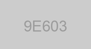 CAGE 9E603 - MACSHORE CLASSICS INC