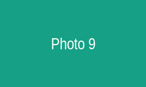 Photo 9