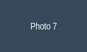 Photo 7
