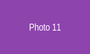 Photo 11
