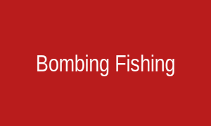 Bombing Fishing