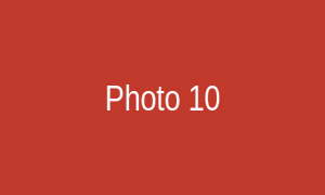 Photo 10