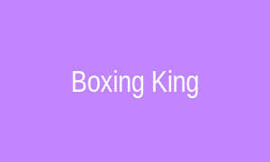 Boxing King