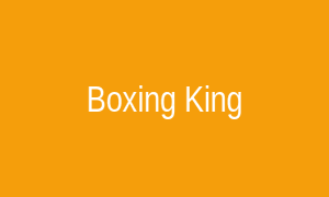 Boxing King