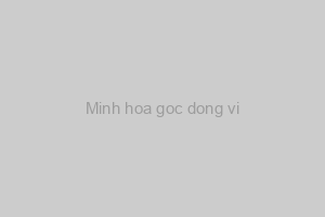 Minh họa góc đồng vị