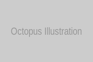 Octopus representing long-form content and nuggets