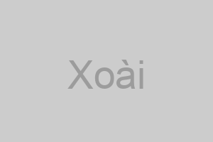 Xoài