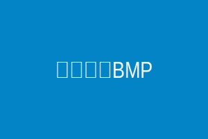 海昌码头BMP