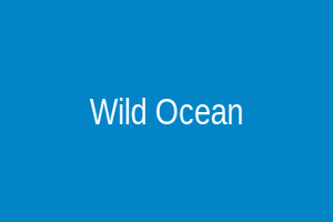 Wild Ocean