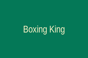 Boxing King