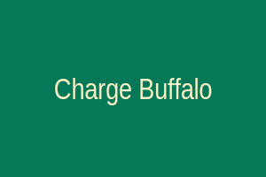 Charge Buffalo
