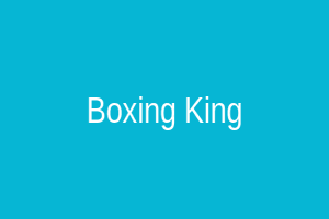 Boxing King