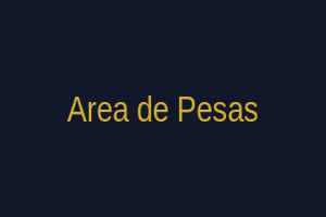 Área de pesas