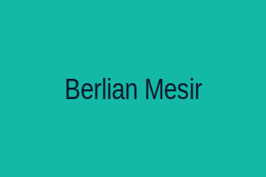 bejo43