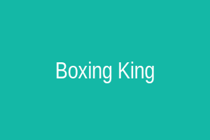 Boxing King